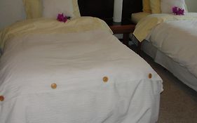 Steinhaus Suites Homero